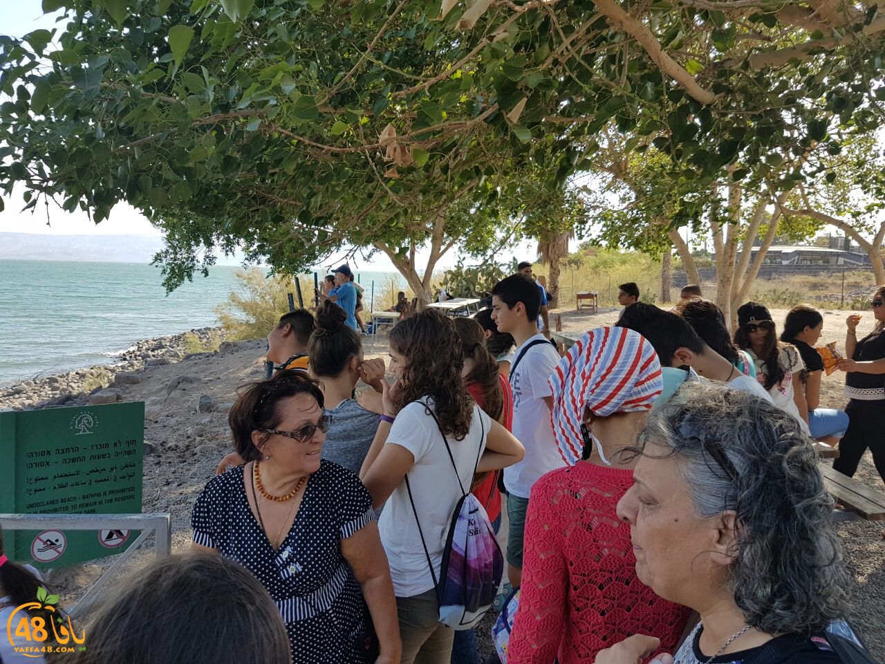 kanizsa yaffa (3).jpg